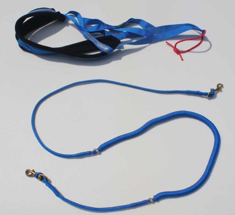 Bikejoring Starter Kit with XBack pulling Harness made in Canada