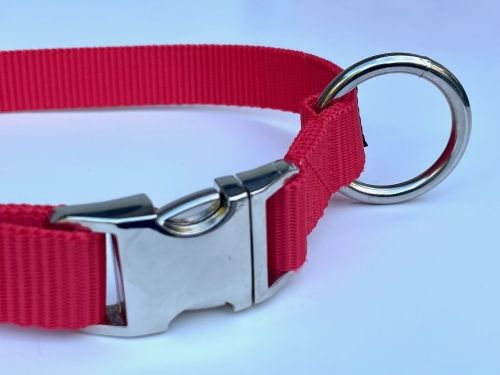 Image Collars with Metal Buckle now available