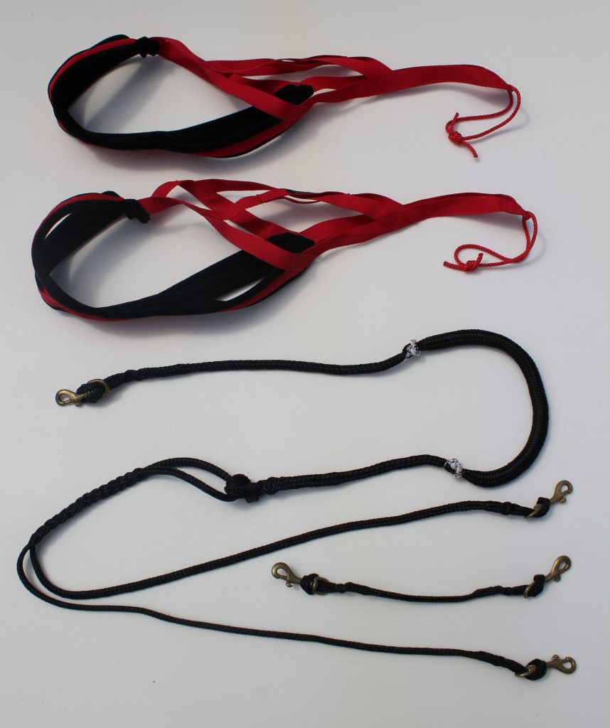 Bikejoring Starter Kit with XBack Dog Pulling Harness 2 Dogs AKKO